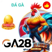 188bet Game 08